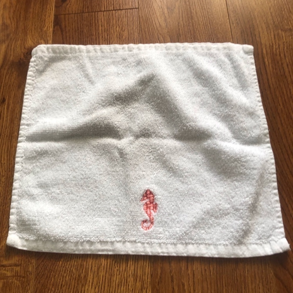 embroidered seahorse wash cloth